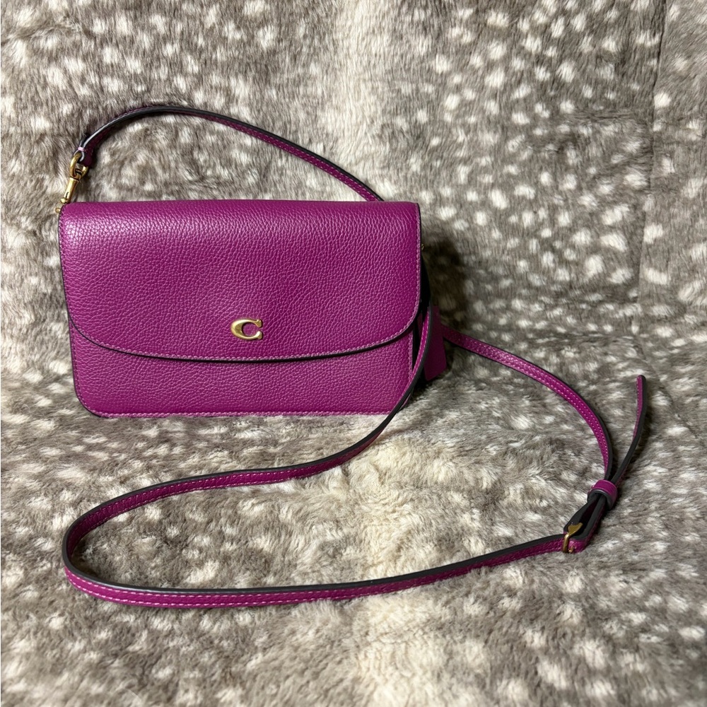 Coach Polished Pebble Leather Hayden Crossbody Deep Plum purse